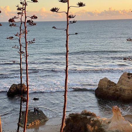 Apartamento Da Avo Te - Em Frente A Praia C Piscina 포티마오 외부 사진