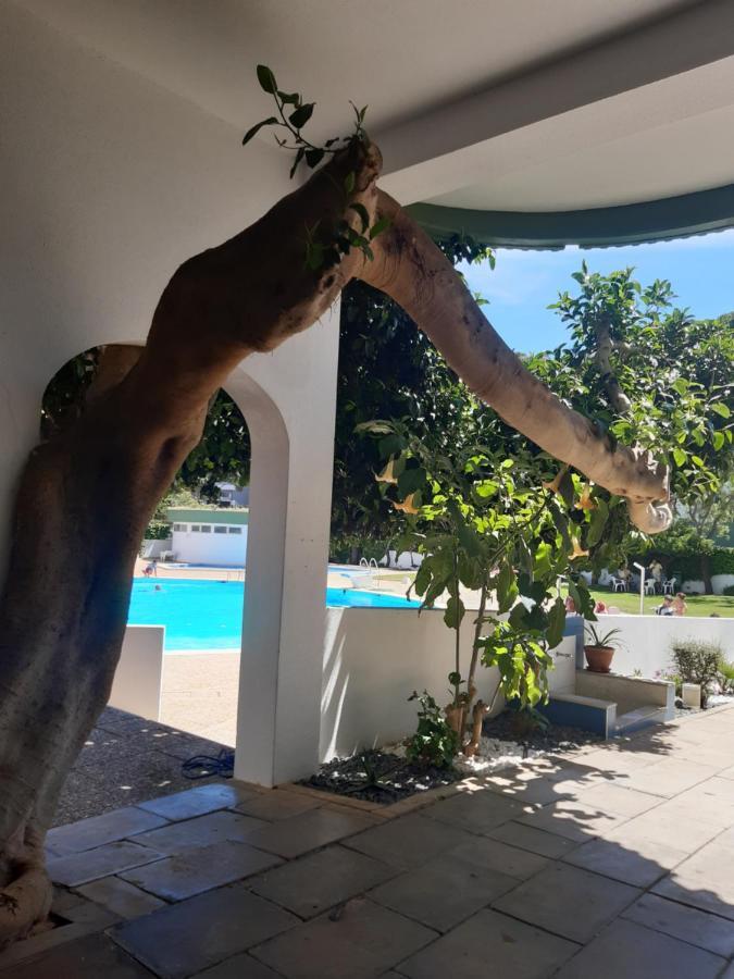 Apartamento Da Avo Te - Em Frente A Praia C Piscina 포티마오 외부 사진